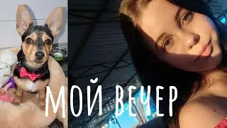 МОЙ ВЕЧЕР/МОЯ РУТИНА/ДОЛГОЖДАННЫЙ ПИТОМЕЦ❤️
