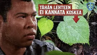 Luonnossa vaanii vaarallisia ja omituisia kasveja