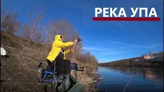 Фидер ранней весной, река Упа. Напикерил разнорыбицы в черте города.