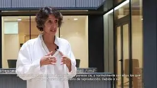 Aumento de la demanda de tratamientos en personas transgénero | Mireia Florensa
