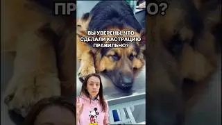 👀 Смотри видео и гайды о том, что скрывают в ветклиниках — ссылка в инфо профиля
