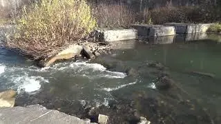 Промышлёнка от порога вниз