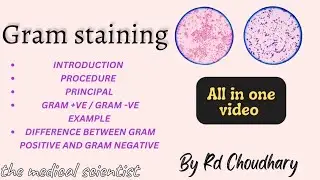 GRAM staining 🧫🧫( gram positive vs gram negative bacteria) #gramstaining #microbiology #slide