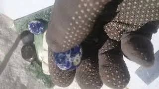 2p