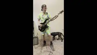 Rebelution Contest 2022