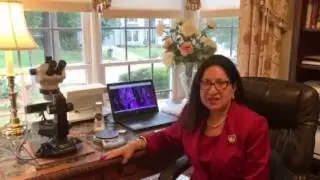 Jewelry Brokerage