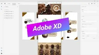 Adobe XD - Tutorial For Beginners