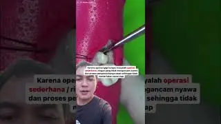 Biasanya 3 hari setelah op gigi bungsu udah bisa makan nasi padang kok
