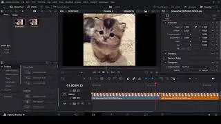 How to make a fade in and fade out transition in DaVinci Resolve
