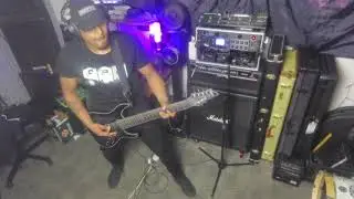 Alpha Wolf - Akudama Guitar Cover (Live HD Playthrough)