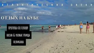 Прогулка по пляжу. Куба, Кайо Паредон Гранде