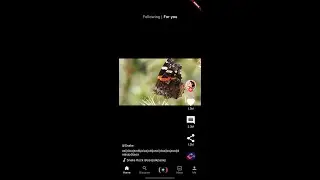 Flutter TikTok Clone with Supabase #EP3