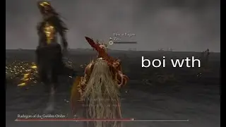Elden ring clip [ps4]
