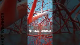 Флеботоники #проктолог #тромбоз #shorts #варикоз #геморрой #сосуды #геморройлечение #врач #стенка