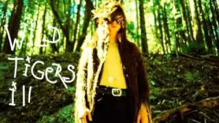 wild tigers i have known mini trailer mystic text