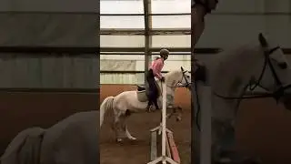 Маленькая ракета 🚀 #horses #лошади #horseriding