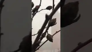 Урус-Мартановский район❄️