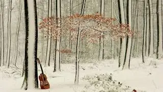 Klavier und Gitarre! 
