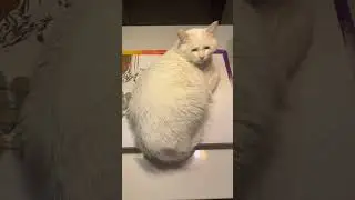 Помошнек 