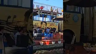 Cây Thông Trăm Tuổi - Gia Lai