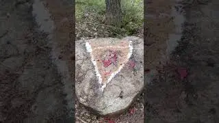 8 июля 2024 г.