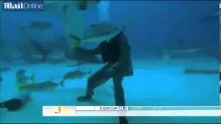 Meet the shark whisperer Man hypnotizes shark.