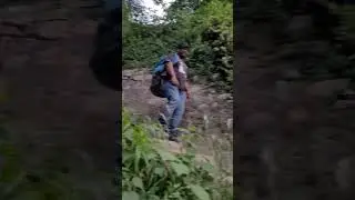 Касоль. Долина Парвати. Parvati Valley. 