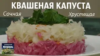 Очень хрустящая квашеная/солёная капуста с морковью и со свеклой. Как правильно солить капусту