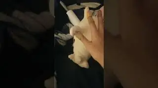 I dont...I don't know.