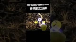 кот в сапогах, кот в сапогах 2, кот в сапогах 2 последнее желание, кот в сапогах