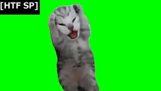 「Filler」猫ミーム(Cat memes) have Sparta Mixus Remix