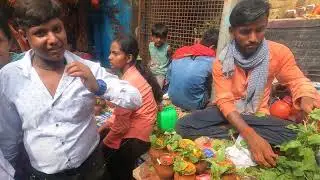 VIDYA PATI DHAM KA NAJARA | काफी भीड़ था सोमवार सुबह #myfirstvlog #trending #dailyvlogs #viralvideo