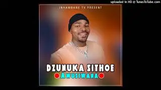Dzunuka Sithoe - Awisiwana (Official Audio)