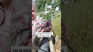 МаковыйБукет 🌺 #вайны #скетчи #семейныйюмор #шутки #букет