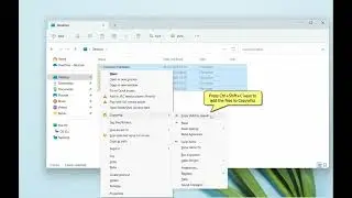 Windows: Exclude specific types of files when copying them during file backups using Copywhiz