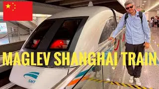 The High Speed Maglev Train in Shanghai 🇨🇳🚝 #china #cina #maglev #maglevtrain #shanghai