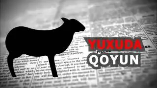 yuxuda qoyun gormek nece yozulur?