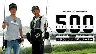 [DAIWA×BlueBlue] 東京湾奥でシーバス5mを釣り上げろ!!【FIVE HUNDRED】VOL.1