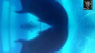 fbd017 - Hille No Snorkel (Irk Yste Remix)