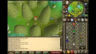 ElvesLikeWTFIsYourFuckingProblem.mp4