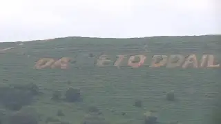 DAW ETO DDAIL AR FRYN  ❌⛰️There will be leaves on the mountain again! @redfox111 🎥⬆️ 👀 🟠  🎦‼️
