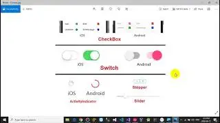 CheckBox and Switch In Xamarin Forms