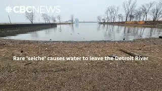 Rare 'seiche' causes water to leave the Detroit River