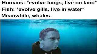 Spicy memes #259