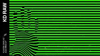 KLAUDIA GAWLAS - ACID KICKS [KD RAW]