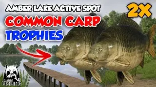 2x COMMON CARP TROPHY SELALU TIDAK PERNAH NEVER TANPA RARE HUUUU!!!!!! - Russian Fishing 4 Indonesia
