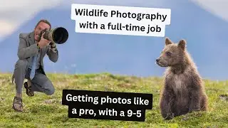 The working photographer. How best to excel in Wildlife Photography with a career, school & family