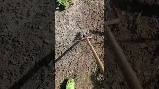 Быстрая прополка. Ручной культиватор.