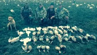 Coastal Prairie Outdoors Goose Hunt