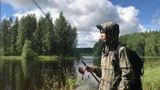 Рыбалка в Карелии. Костёр. Окуни на спиннинг